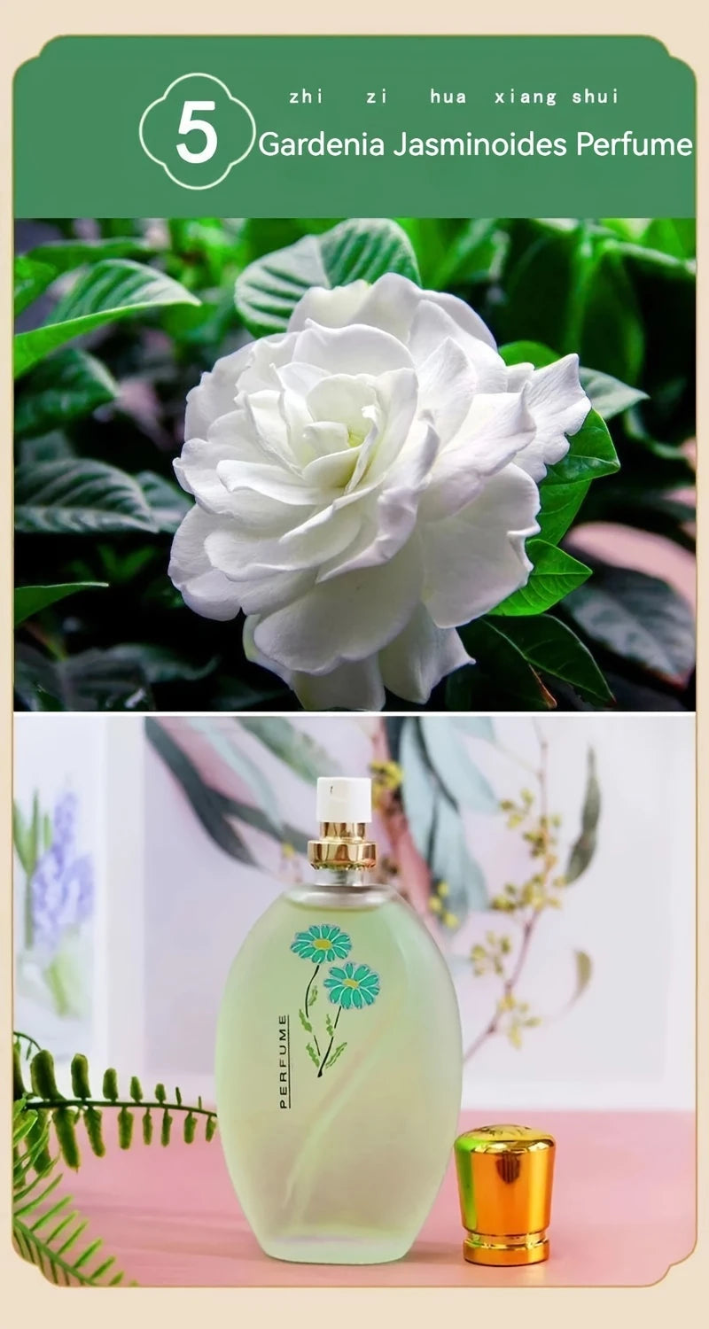 Perfume 50ml com Fragrância de Rosa e Jasmim — Presente Elegante para Homens e Mulheres