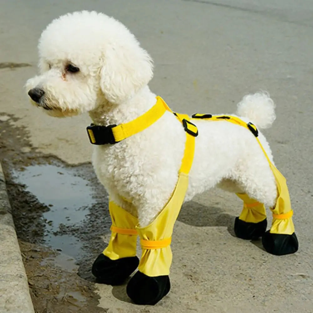 Botas de Chuva Impermeáveis para Cães, Protetor de Patas Ajustável e à Prova de Sujeira, Respirável, com Alça Auxiliar Antiderrapante para Dias Chuvosos