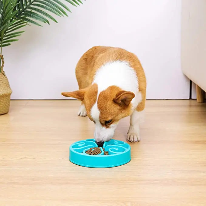 Tigela de Alimentação Lenta para Cães — Antiderrapante, Anti-Gulpe, Ecológica em 10 Cores