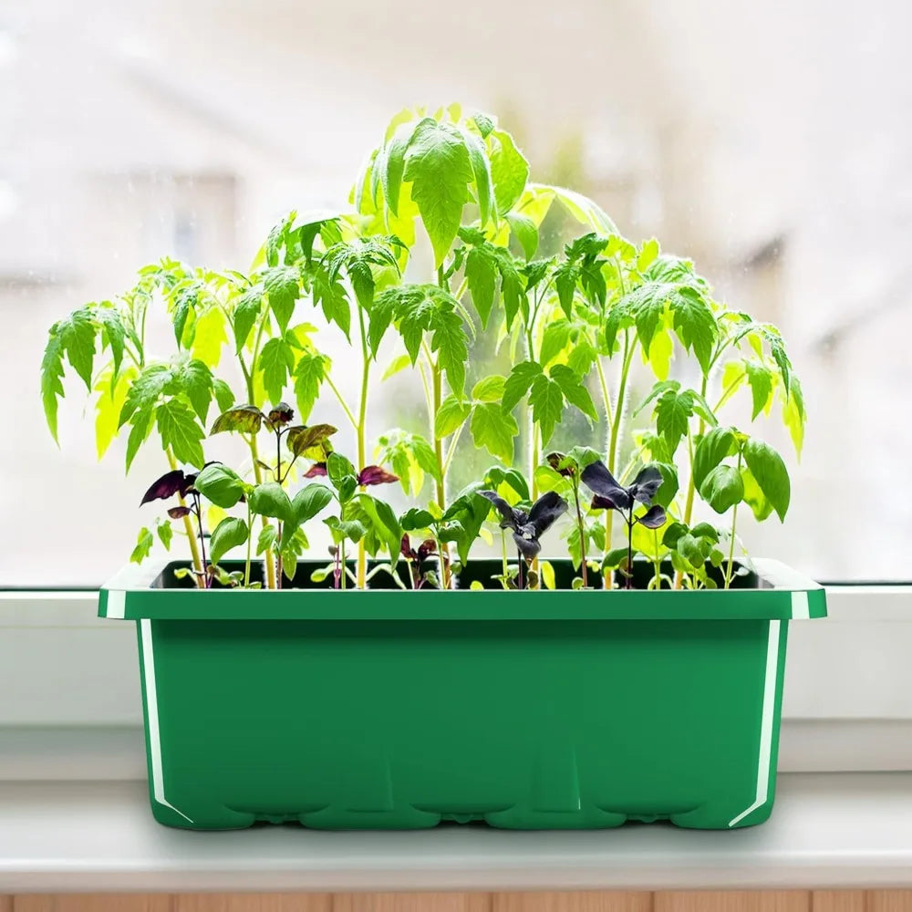 Bandeja de Germinação com Luz LED para Cultivo, Vaso de Viveiro, Plantador de Mudas com Ventilação e Umidade Ajustáveis, 6/12/13 Células 6